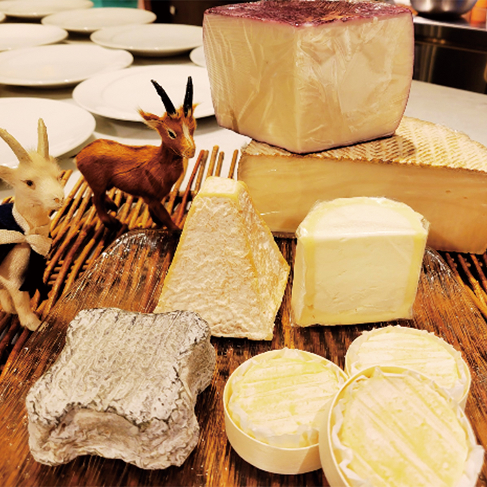 愛宕店 2026年度 タイプ別チーズを愉しむ会